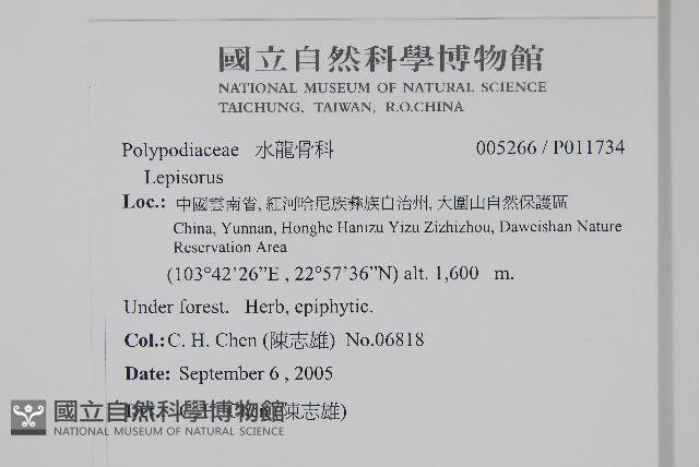 登錄號:P011734藏品圖，第2張