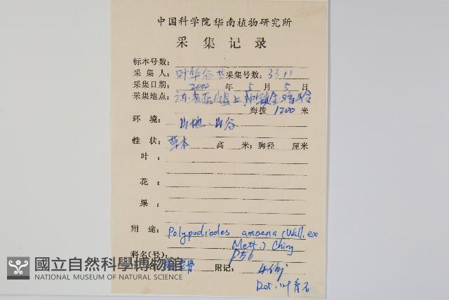 友水龍骨藏品圖，第2張