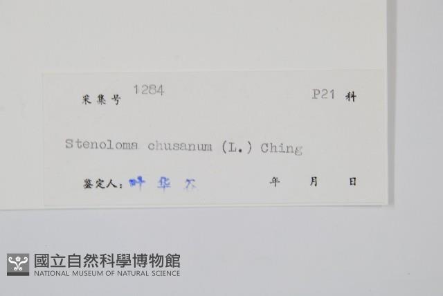 烏蕨藏品圖，第2張