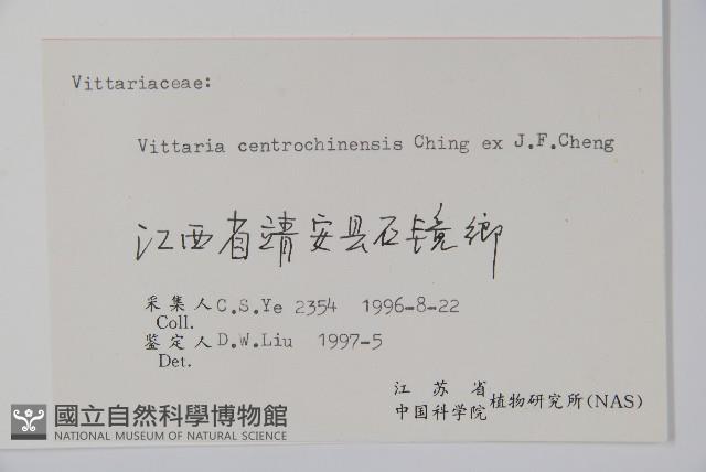 登錄號:P006434藏品圖，第2張