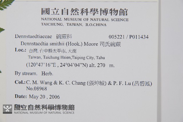 司氏碗蕨藏品圖，第2張