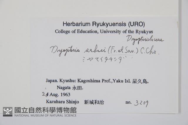 登錄號:P005834藏品圖，第2張