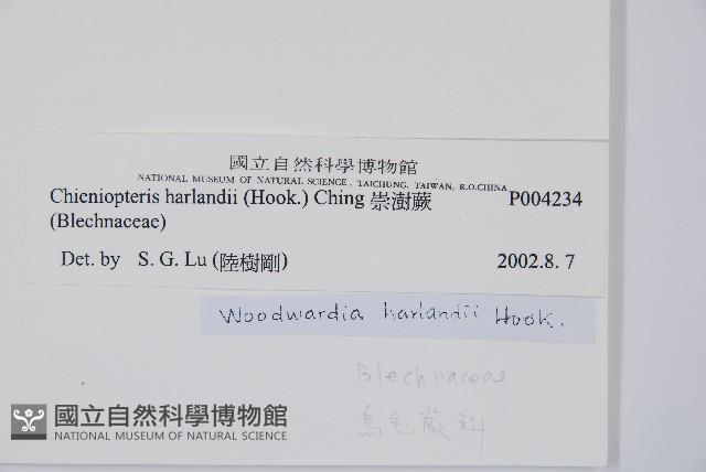 崇澍蕨藏品圖，第2張