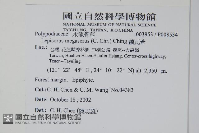 麟瓦葦、川上氏瓦葦藏品圖，第2張