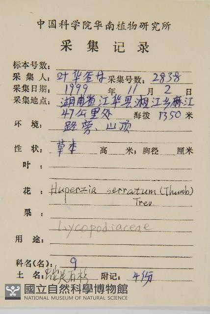 千層塔藏品圖，第2張