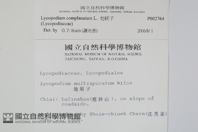 地刷子藏品圖，第2張