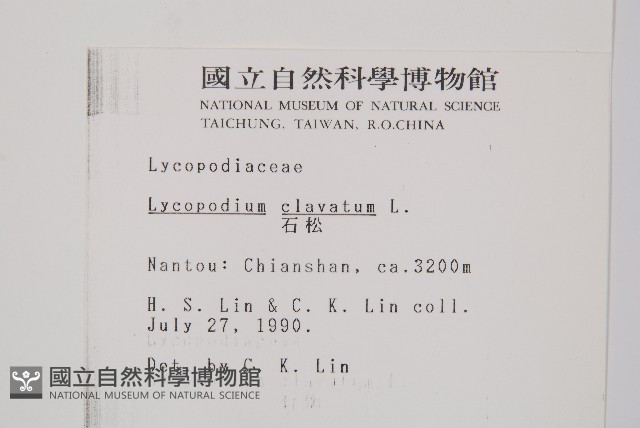 石松藏品圖，第2張