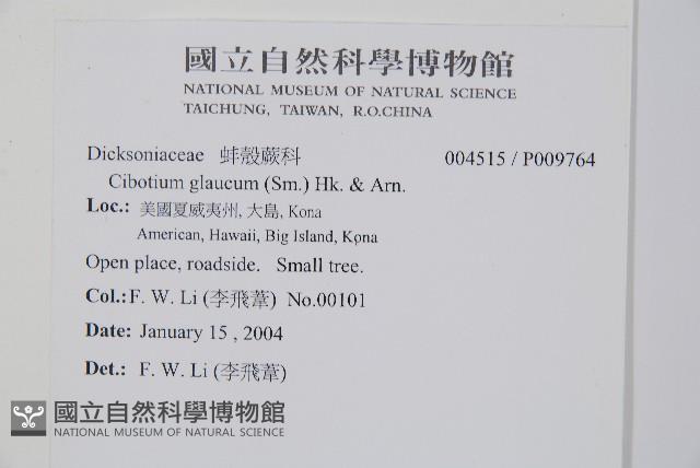 登錄號:P009764藏品圖，第2張