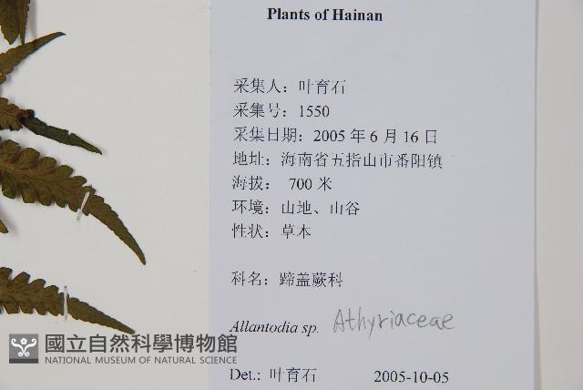 登錄號:P012564藏品圖，第2張