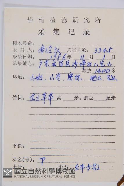 陰濕鐵角蕨藏品圖，第2張