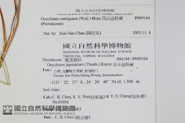 Accession Number:P009164 Collection Image, Figure 2, Total 2 Figures