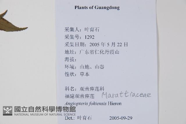 Accession Number:P012864 Collection Image, Figure 2, Total 2 Figures