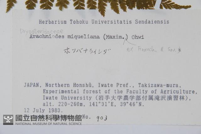 登錄號:P006264藏品圖，第2張