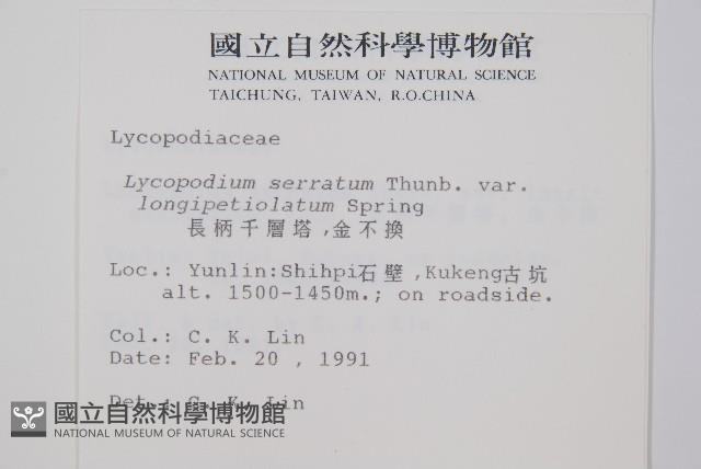 長柄千層塔藏品圖，第2張