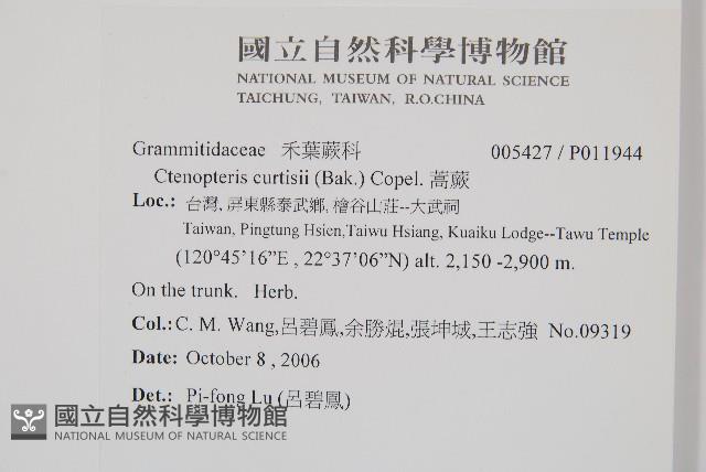 蒿蕨藏品圖，第2張