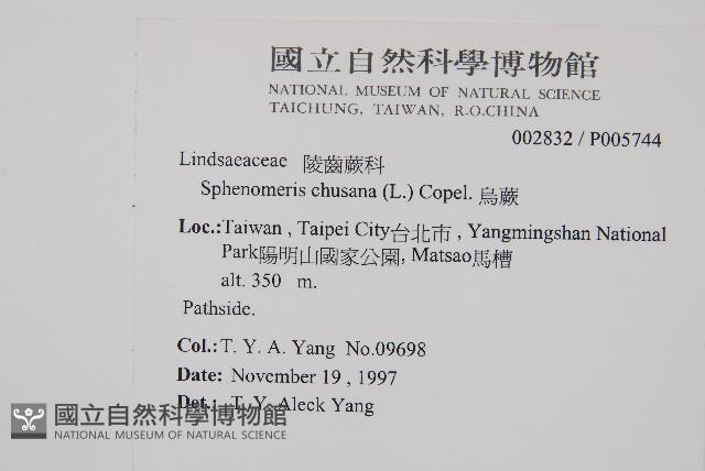 烏蕨藏品圖，第2張