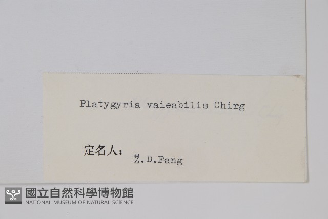 登錄號:P003744藏品圖，第2張