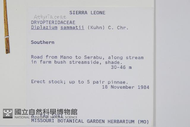 登錄號:P010044藏品圖，第2張