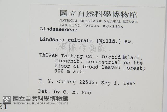 Accession Number:P000544 Collection Image, Figure 2, Total 2 Figures