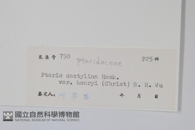 登錄號:P005544藏品圖，第2張