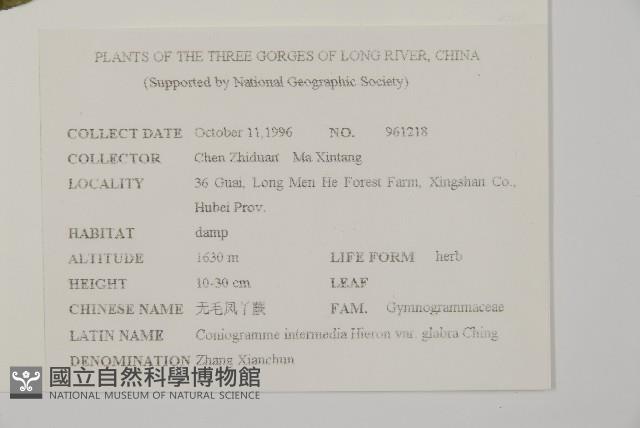 登錄號:P005644藏品圖，第2張