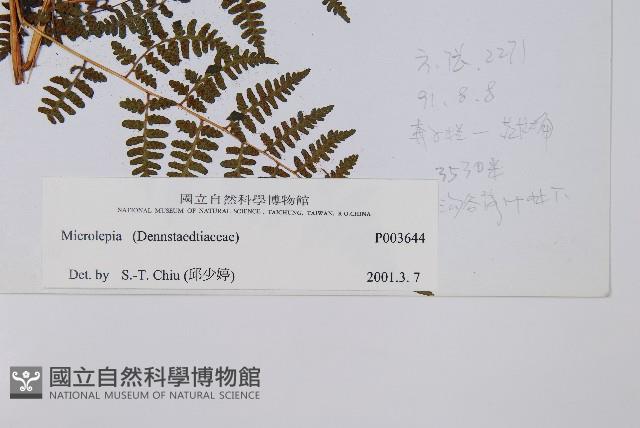 登錄號:P003644藏品圖，第2張