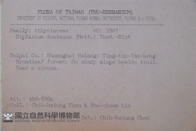 細柄雙蓋蕨藏品圖，第2張