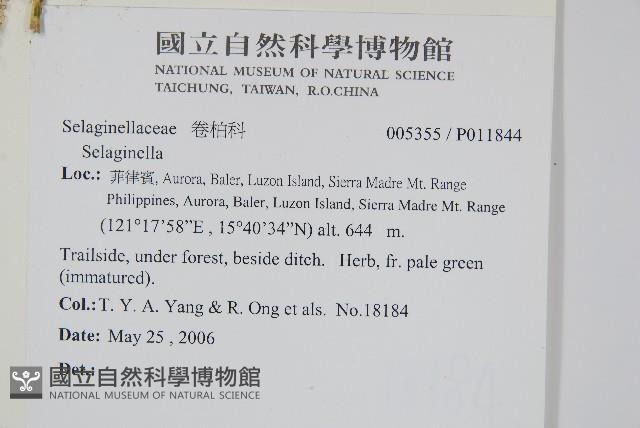 登錄號:P011844藏品圖，第2張