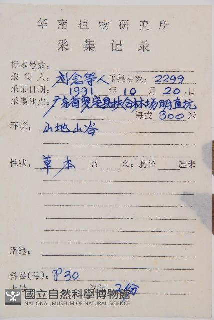 淡綠短腸蕨藏品圖，第2張