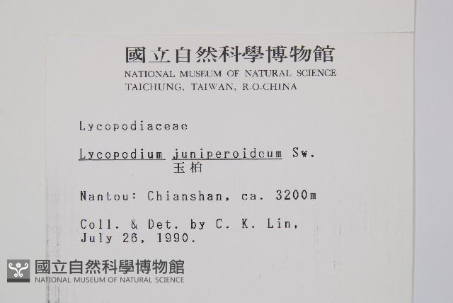 玉柏藏品圖，第2張