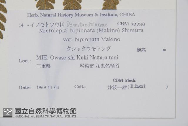 Accession Number:P011074 Collection Image, Figure 2, Total 5 Figures