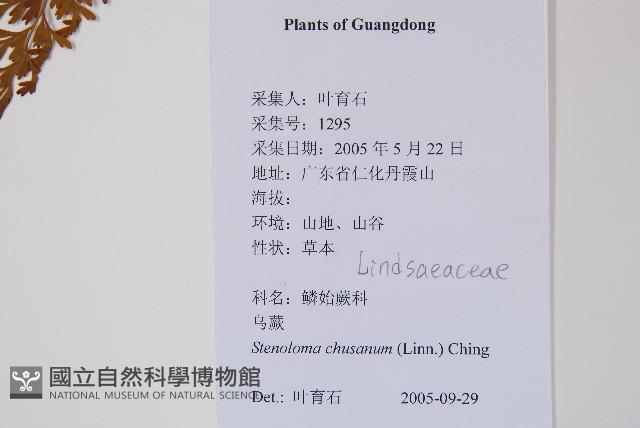 烏蕨藏品圖，第2張