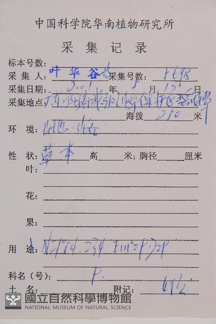 假蹄蓋蕨藏品圖，第2張