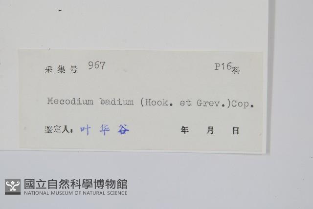 Accession Number:P005374 Collection Image, Figure 2, Total 2 Figures