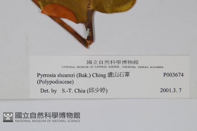 盧山石葦藏品圖，第2張