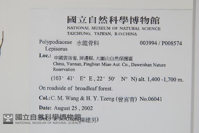 登錄號:P008574藏品圖，第2張