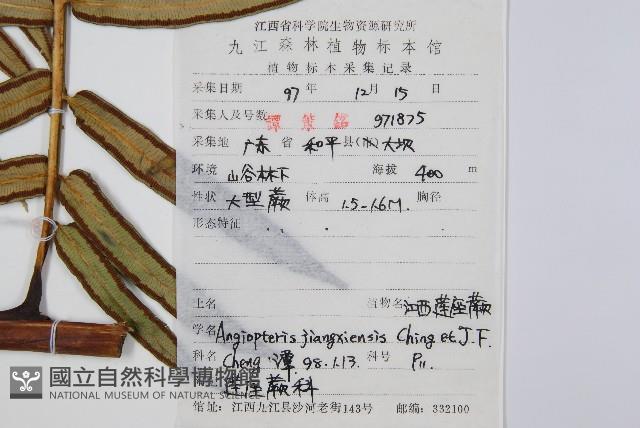 登錄號:P005984藏品圖，第2張