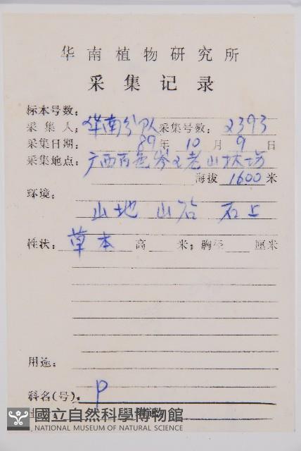 陰濕鐵角蕨藏品圖，第2張