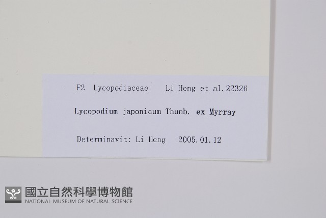 日本石松藏品圖，第1張