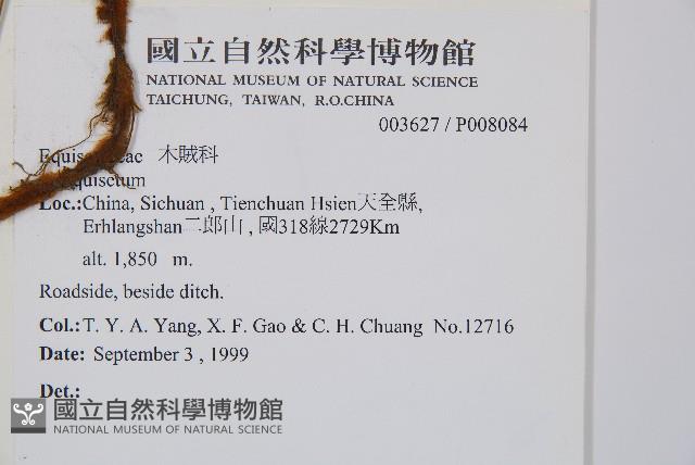 登錄號:P008084藏品圖，第2張