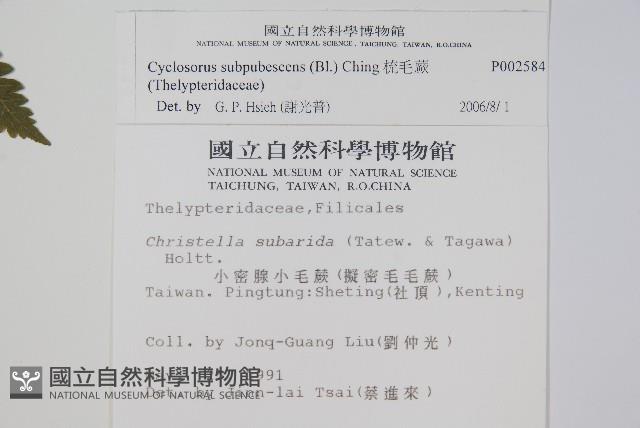 Accession Number:P002584 Collection Image, Figure 2, Total 2 Figures