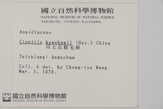 Accession Number:P001584 Collection Image, Figure 2, Total 4 Figures