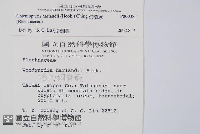 崇澍蕨藏品圖，第2張