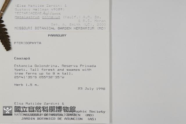 登錄號:P008484藏品圖，第2張