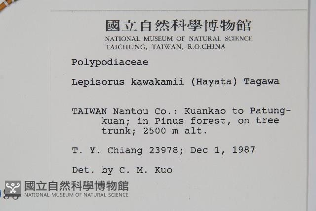 麟瓦葦、川上氏瓦葦藏品圖，第2張