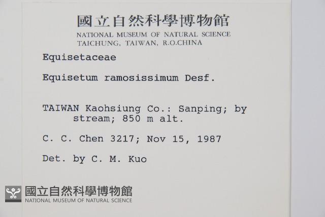 木賊藏品圖，第2張