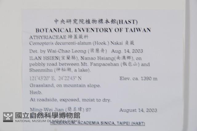 貞蕨藏品圖，第2張