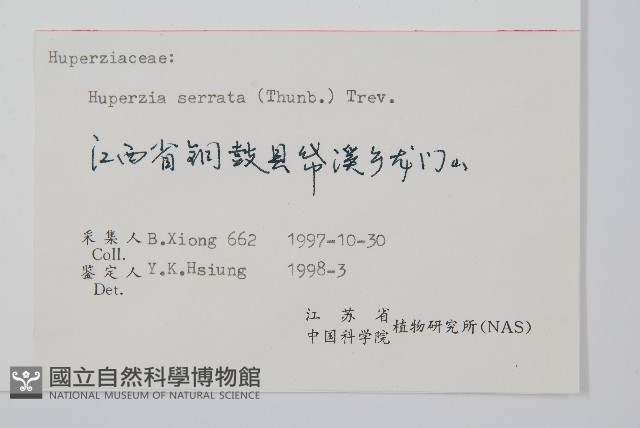 蛇足石杉、千層塔藏品圖，第2張