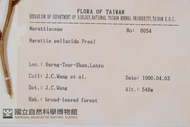 觀音座蓮舅藏品圖，第2張