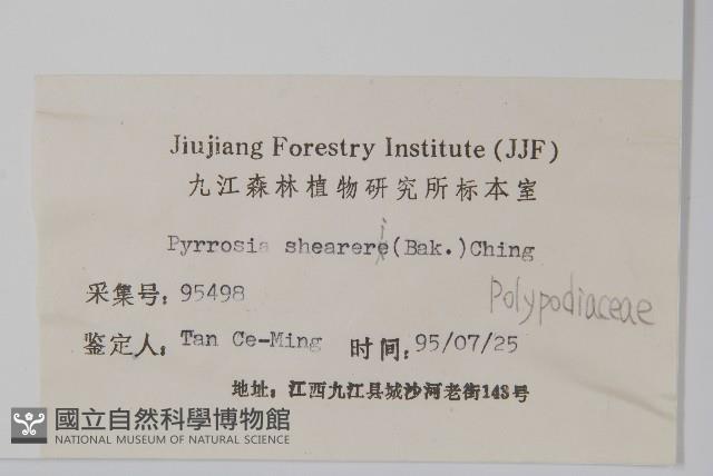 盧山石葦藏品圖，第2張